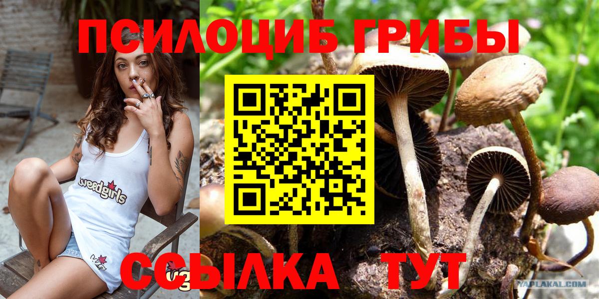 Псилоцибиновые грибы Magic Shrooms Новокуйбышевск