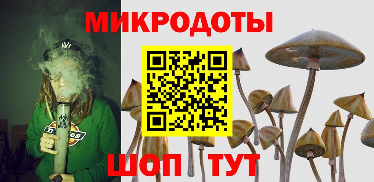 Новокуйбышевск  как найти закладки  Вход с VPN  Галлюциногенные грибы мицелий  Галлюциногенные грибы ЛСД 
